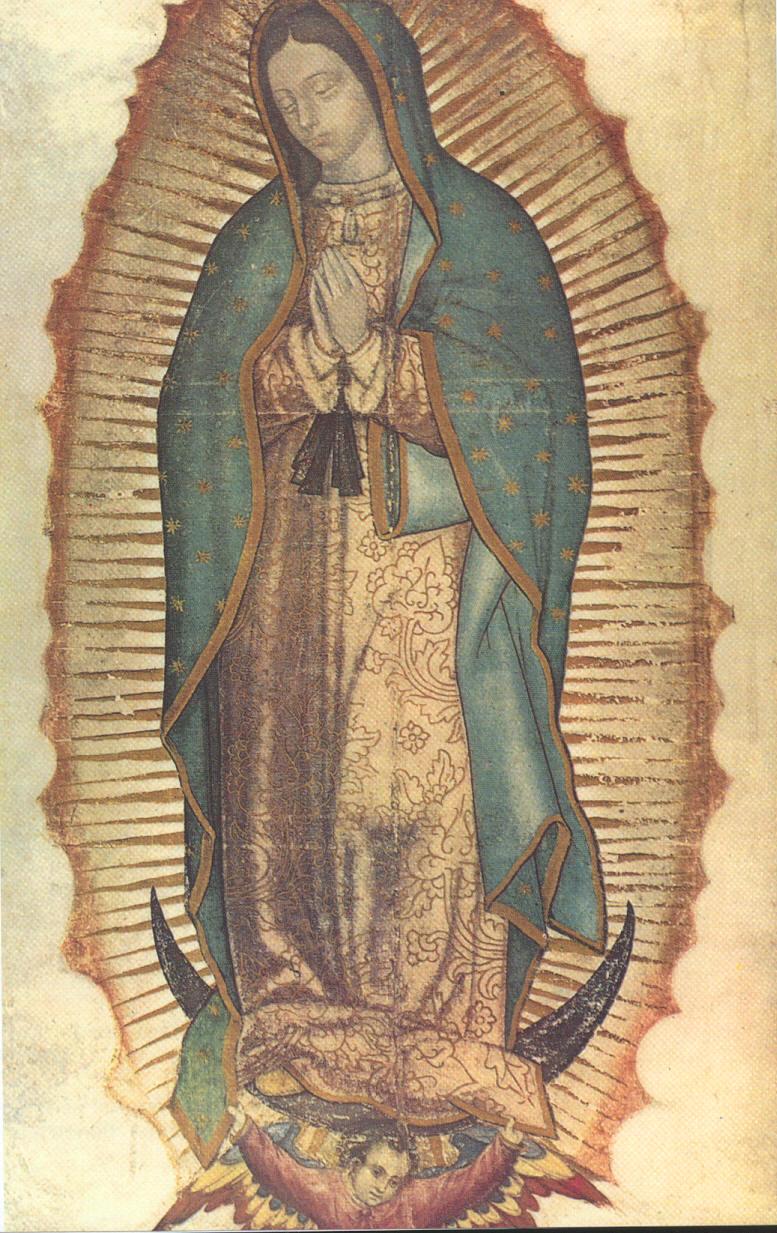 virgen de guadalupe